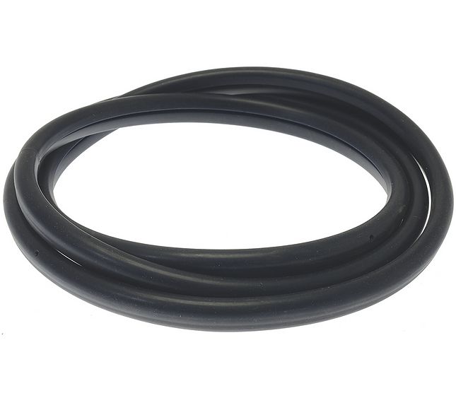 Guarnizione Vetro Porta – Genuine Part 5054725