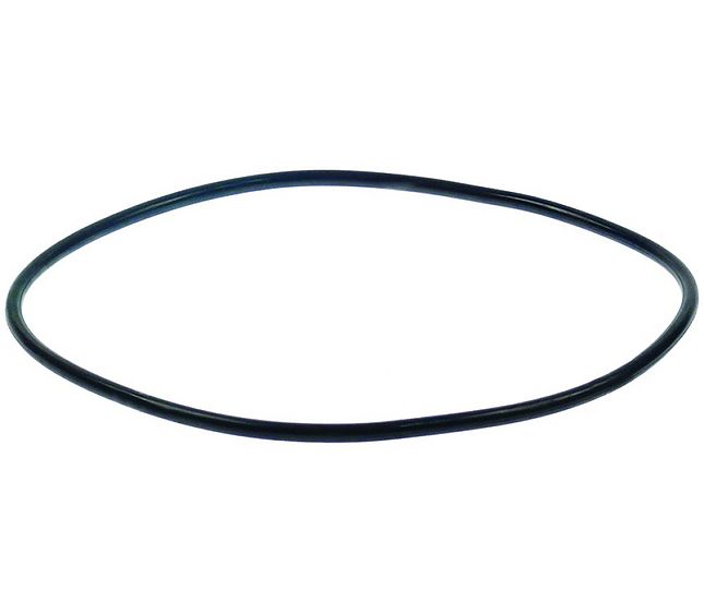 Gasket Door – Genuine Part 23340241