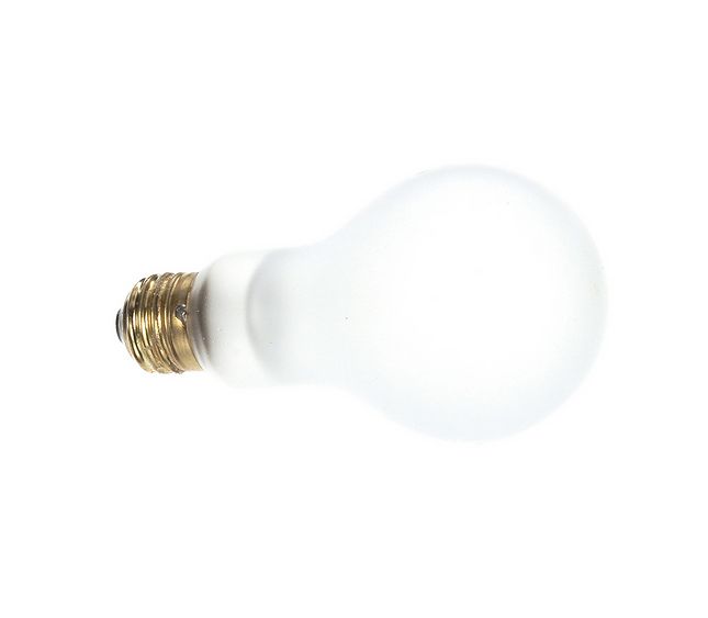 Bulb, 250V-100W Light – Genuine Part PT00071857