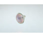 Lampada + Vetro 50 Watt – Genuine Part 5145674