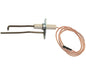 Elettrodo Rilevazione – Genuine Part 4005900