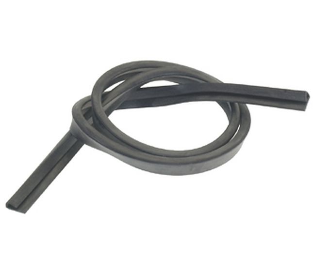 Guarnizione Vetro Porta – Genuine Part 5023984