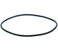 Gasket Door – Genuine Part 23340241