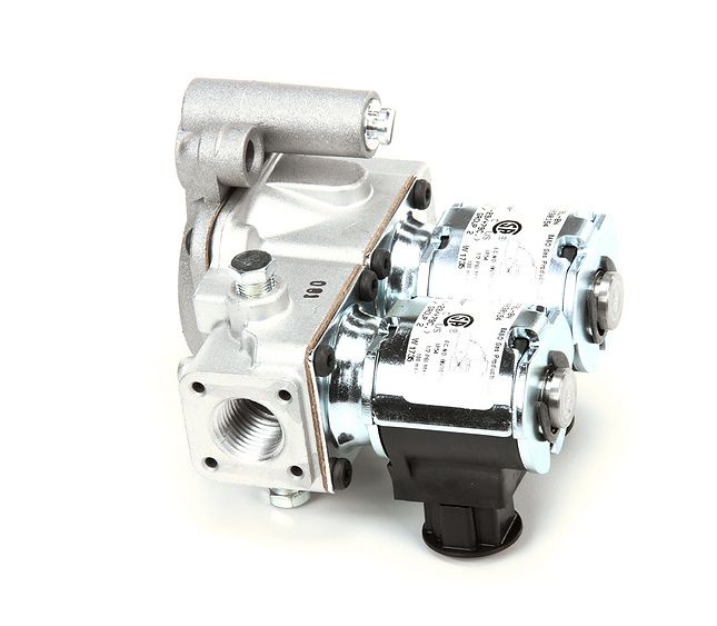 Valve Gas Control Nt Exp – Genuine Part WB140580
