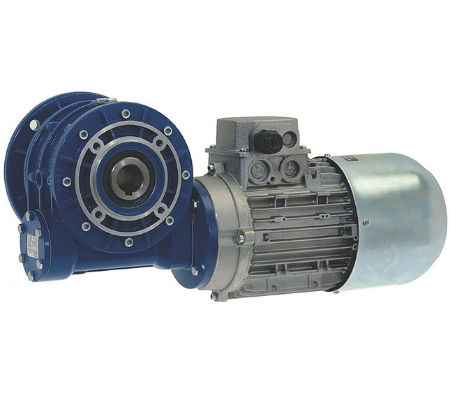 Motore Completo – Genuine Part 5021795