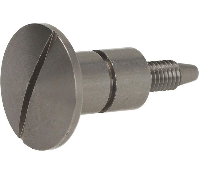 Screw LH M5 Stain.steel Door Glass Fix. – Genuine Part 5016365