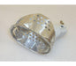 Portalampada Ovale – Genuine Part 5049005