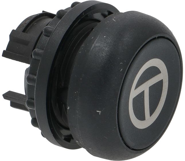 Flush Push-Button Black Simb. T – Genuine Part 3319300
