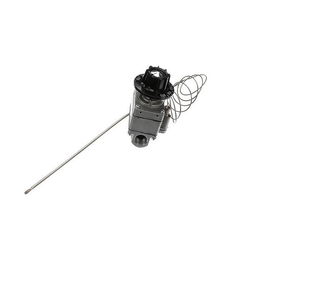 Control Assembly, Gas (FMEA)650F[9 – Genuine Part PT00074602