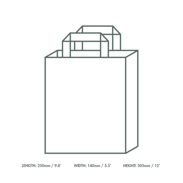 Vegware Large recycled paper carrier (10in width, volume 11.6L)